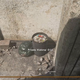 This garbage can has a good killstreak goin.